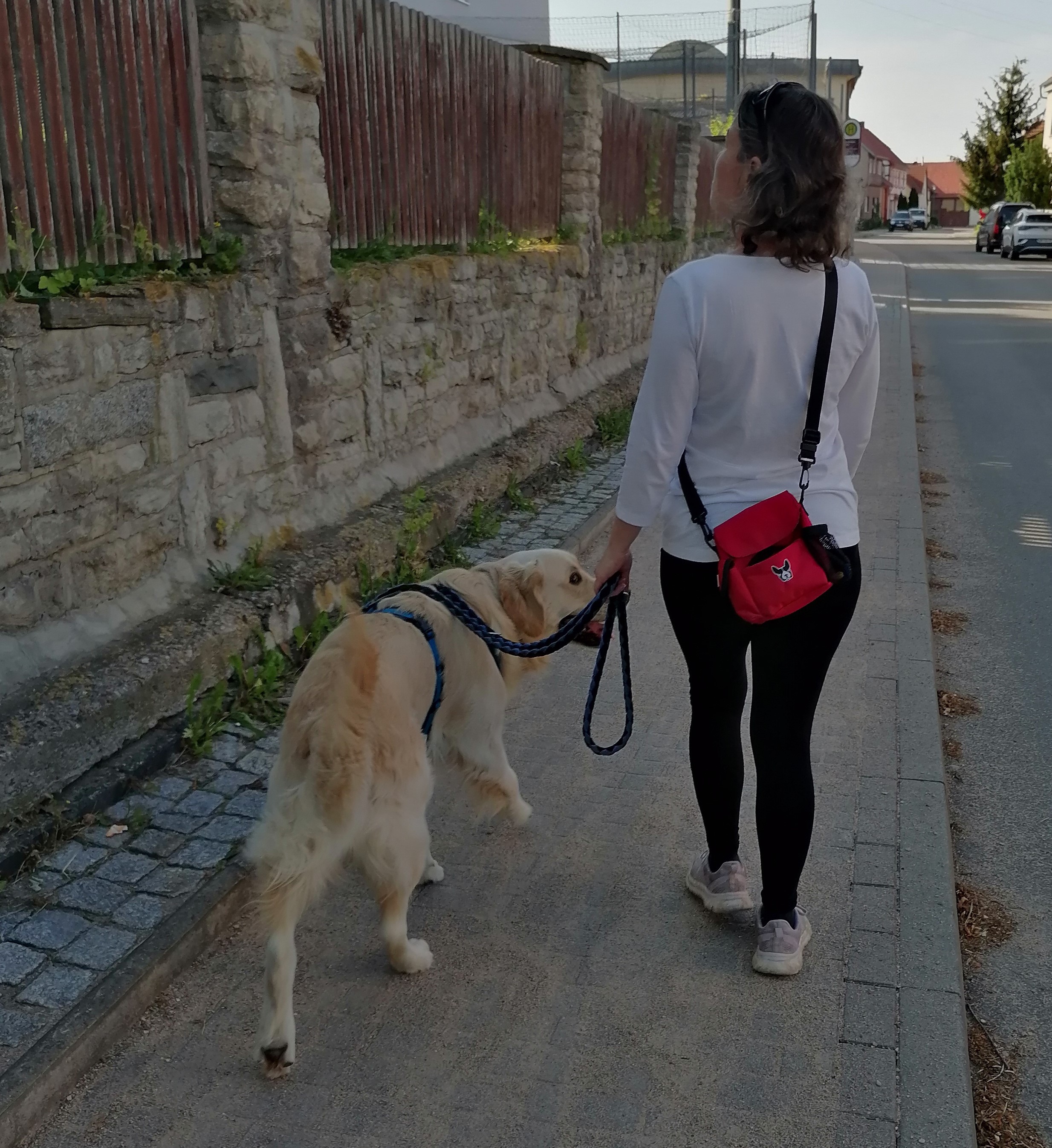 In Erfurt ist Leinenpflicht