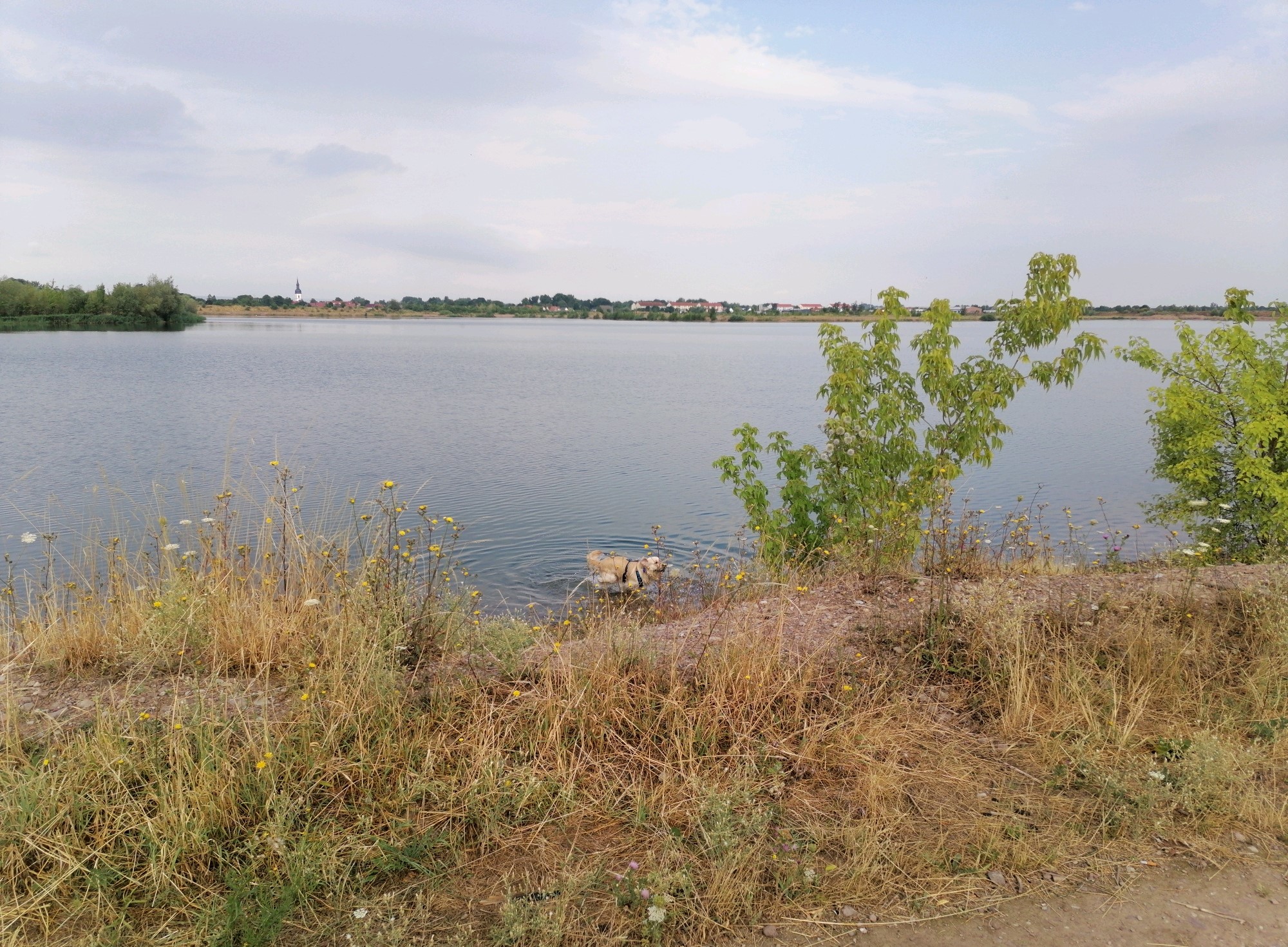 Der Kingesee mit Blick auf Stotternheim